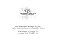 SANNIO TOP WINES 2014 - fossodegliangeli